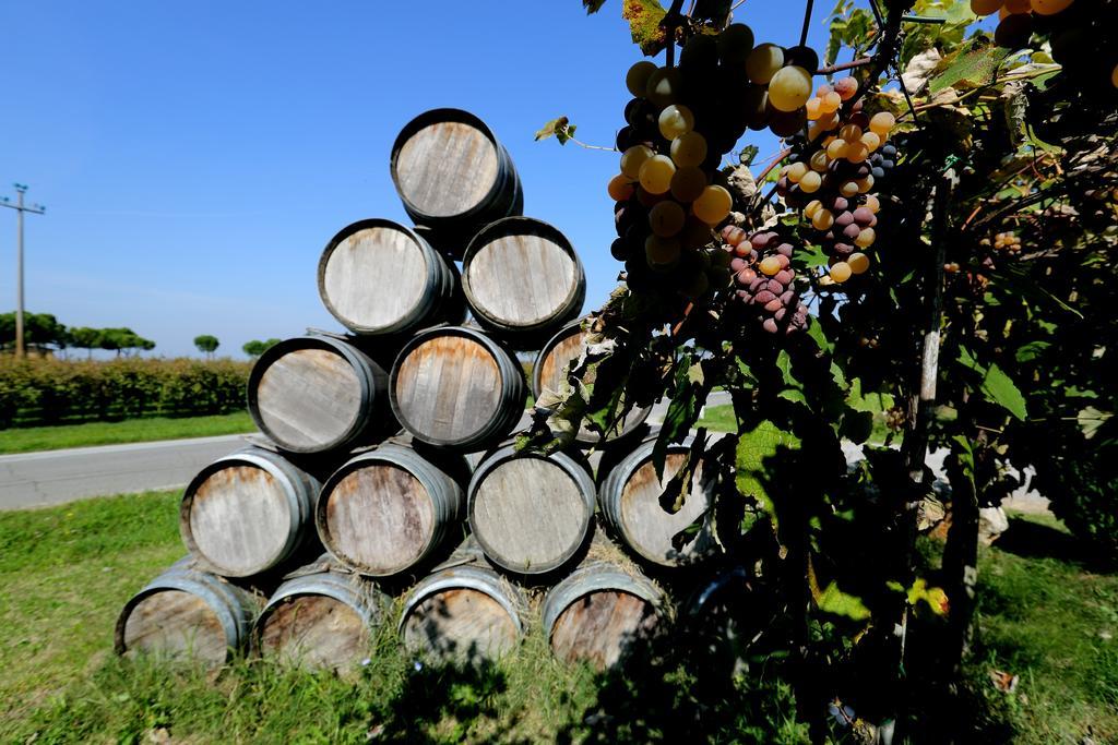Agriturismo Trere Faenza Dış mekan fotoğraf