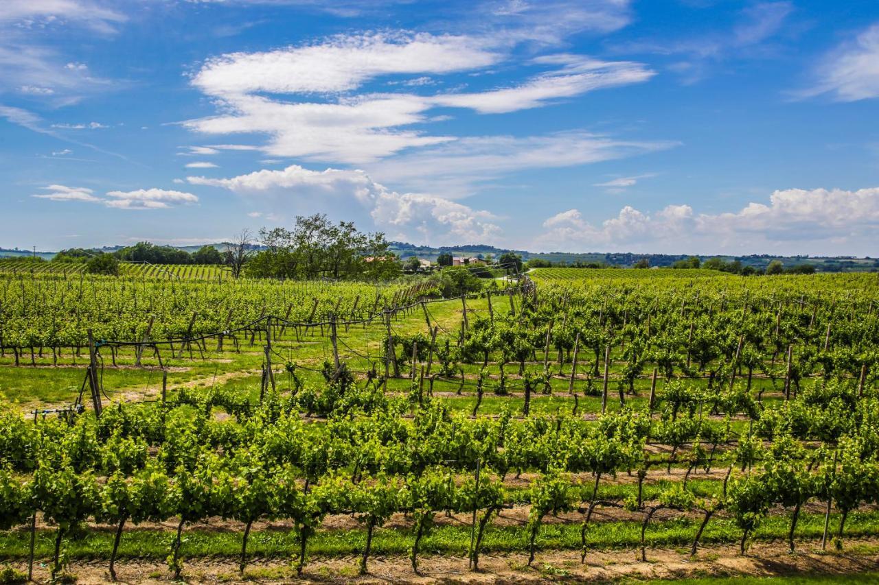 Agriturismo Trere Faenza Dış mekan fotoğraf